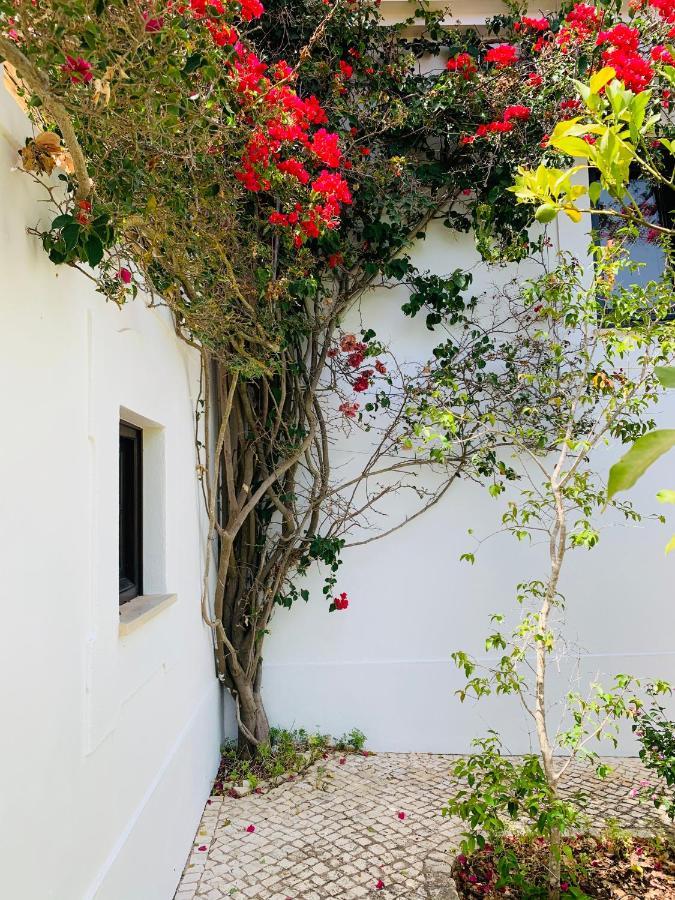 Dona Maria 66 Villa Luz Eksteriør bilde