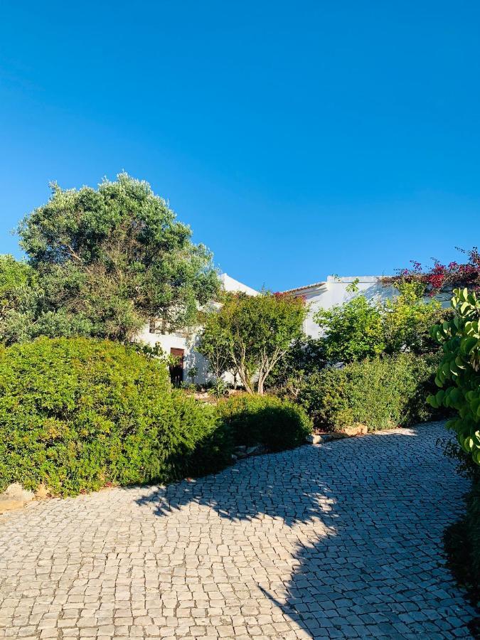 Dona Maria 66 Villa Luz Eksteriør bilde